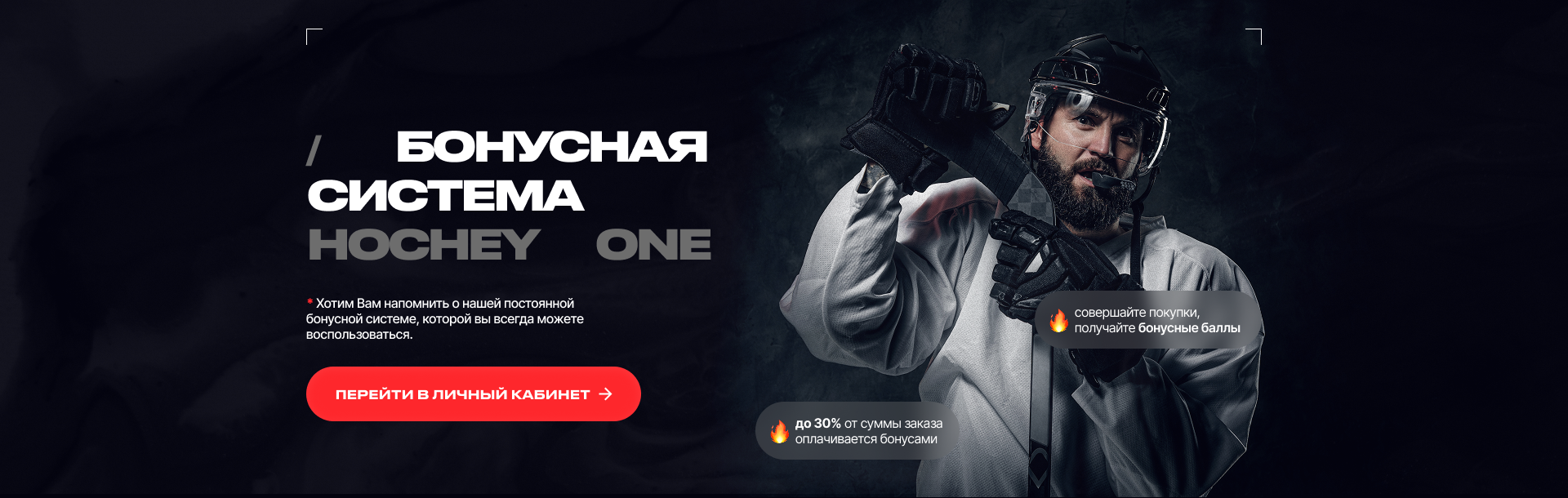 Бонусная система Hockey One